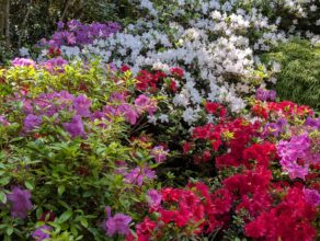 Exbury Gardens and Steam Railway