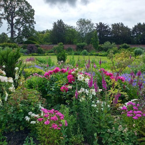 IMG_20250610_102445_905